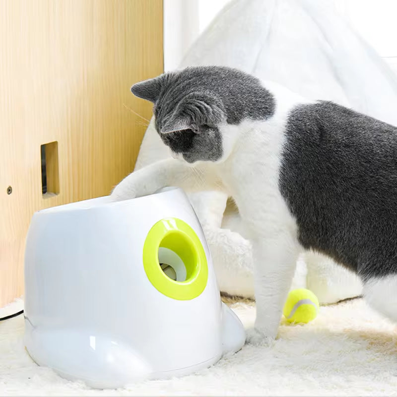Unleash the Fun! Automatic Tennis Ball Launcher for Dogs - Perfect for Playtime! ๐ถ๐พ