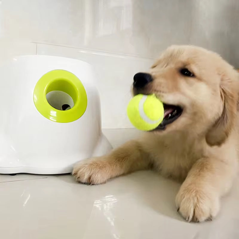 Unleash the Fun! Automatic Tennis Ball Launcher for Dogs - Perfect for Playtime! 🐶🎾